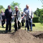 Dąb Wolności na Skwerze Szarych Szeregów. / Piotr Michalski / Radio Kielce