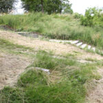 Koszenie terenów zielonych w Kielcach (20 czerwca 2014 r.) / Piotr Michalski / Radio Kielce