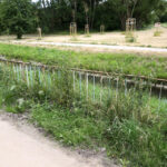 Koszenie terenów zielonych w Kielcach (20 czerwca 2014 r.) / Piotr Michalski / Radio Kielce