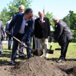 Dąb Wolności na Skwerze Szarych Szeregów. / Piotr Michalski / Radio Kielce