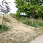 Koszenie terenów zielonych w Kielcach (20 czerwca 2014 r.) / Piotr Michalski / Radio Kielce