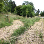 Koszenie terenów zielonych w Kielcach (20 czerwca 2014 r.) / Piotr Michalski / Radio Kielce