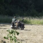 Inscenizacja Historyczna w Miedzianej Górze. / Piotr Michalski / Radio Kielce