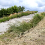 Koszenie terenów zielonych w Kielcach (20 czerwca 2014 r.) / Piotr Michalski / Radio Kielce