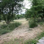 Koszenie terenów zielonych w Kielcach (20 czerwca 2014 r.) / Piotr Michalski / Radio Kielce