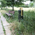 Koszenie terenów zielonych w Kielcach (20 czerwca 2014 r.) / Piotr Michalski / Radio Kielce