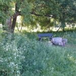 Koszenie terenów zielonych w Kielcach (12 czerwca 2014 r.) / Paweł Klepka / Radio Kielce