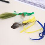 Piotr Michalski / Radio Kielce