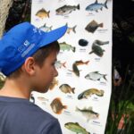 Ryby – wszyscy o tym wiedzą, że są zdrowe i smaczne. Do ich jedzenia zachęcały dzieci w audycji Dzień Dobry Dzieci. / Jarosław Dragan / Radio Kielce