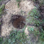 Tygodniowy kurs przetrwania we wrogim środowisku „SERE”, obowiązkowy dla żołnierzy wyjeżdżających na misje zagraniczne, prowadzony przez Centrum Przygotowań do Misji Zagranicznych. / Paweł Klepka / Radio Kielce