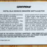 W Kielcach stanęły cztery hotele dla pszczół / Krzysztof Żołądek / Radio Kielce