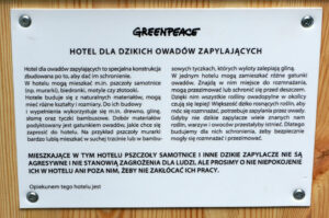 W Kielcach stanęły cztery hotele dla pszczół / Krzysztof Żołądek / Radio Kielce