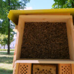 W Kielcach stanęły cztery hotele dla pszczół / Krzysztof Żołądek / Radio Kielce