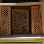 W Kielcach stanęły cztery hotele dla pszczół / Krzysztof Żołądek / Radio Kielce