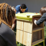 W Kielcach stanęły cztery hotele dla pszczół / Krzysztof Żołądek / Radio Kielce