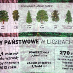 Krajowa Narada Leśników z okazji 90-lecia Lasów Państwowych / Bartłomiej Zapała / Radio Kielce