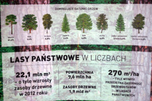 Krajowa Narada Leśników z okazji 90-lecia Lasów Państwowych / Bartłomiej Zapała / Radio Kielce