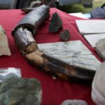 Dzień gminy Sitkówka Nowiny / Stanisław Blinstrub / Radio Kielce