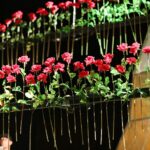 Poznaliśmy zwycięzców Plebiscytu "O Dziką Różę"  - fragment spektaklu opartego na "Małym Księciu" / Stanisław Blinstrub / Radio Kielce