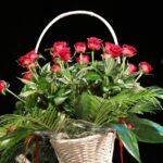 Poznaliśmy zwycięzców Plebiscytu "O Dziką Różę" / Stanisław Blinstrub / Radio Kielce