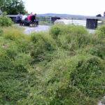 Nieporządek w okolicach Kadzielni / Kamil Król / Radio Kielce