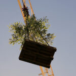 Zatknięcie wiechy na nowym budynku Wydziału Nauk o Zdrowiu UJK / Kamil Król / Radio Kielce