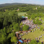 Jawor w Parku Etnograficznym w Tokarni / Wojciech Habdas / Radio Kielce