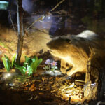 Ośrodek edukacji leśnej Nadleśnictwa Kielce / Wojciech Habdas / Radio Kielce