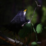 Ośrodek edukacji leśnej Nadleśnictwa Kielce / Wojciech Habdas / Radio Kielce