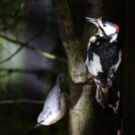 Ośrodek edukacji leśnej Nadleśnictwa Kielce / Wojciech Habdas / Radio Kielce