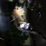 Ośrodek edukacji leśnej Nadleśnictwa Kielce / Wojciech Habdas / Radio Kielce