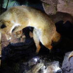 Ośrodek edukacji leśnej Nadleśnictwa Kielce / Wojciech Habdas / Radio Kielce