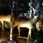 Ośrodek edukacji leśnej Nadleśnictwa Kielce / Wojciech Habdas / Radio Kielce