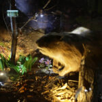 Ośrodek edukacji leśnej Nadleśnictwa Kielce / Wojciech Habdas / Radio Kielce