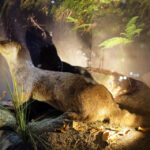 Ośrodek edukacji leśnej Nadleśnictwa Kielce / Wojciech Habdas / Radio Kielce