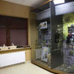 Ośrodek edukacji leśnej Nadleśnictwa Kielce / Wojciech Habdas / Radio Kielce