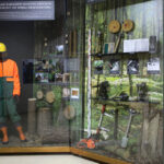 Ośrodek edukacji leśnej Nadleśnictwa Kielce / Wojciech Habdas / Radio Kielce