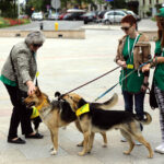 Schronisko dla Bezdomnych Zwierząt w podkieleckich Dyminach zorganizowało piknik pod hasłem "Podaj pomocną łapę" / Wojciech Habdas / Radio Kielce