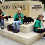 Schronisko dla Bezdomnych Zwierząt w podkieleckich Dyminach zorganizowało piknik pod hasłem "Podaj pomocną łapę" / Wojciech Habdas / Radio Kielce