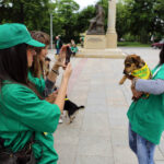 Schronisko dla Bezdomnych Zwierząt w podkieleckich Dyminach zorganizowało piknik pod hasłem "Podaj pomocną łapę" / Wojciech Habdas / Radio Kielce
