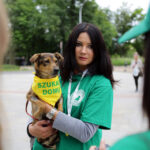 Schronisko dla Bezdomnych Zwierząt w podkieleckich Dyminach zorganizowało piknik pod hasłem "Podaj pomocną łapę" / Wojciech Habdas / Radio Kielce