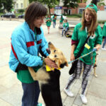 Schronisko dla Bezdomnych Zwierząt w podkieleckich Dyminach zorganizowało piknik pod hasłem "Podaj pomocną łapę" / Wojciech Habdas / Radio Kielce