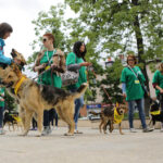 Schronisko dla Bezdomnych Zwierząt w podkieleckich Dyminach zorganizowało piknik pod hasłem "Podaj pomocną łapę" / Wojciech Habdas / Radio Kielce