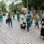 Schronisko dla Bezdomnych Zwierząt w podkieleckich Dyminach zorganizowało piknik pod hasłem "Podaj pomocną łapę" / Wojciech Habdas / Radio Kielce