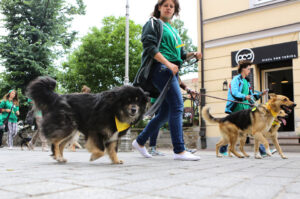 Schronisko dla Bezdomnych Zwierząt w podkieleckich Dyminach zorganizowało piknik pod hasłem "Podaj pomocną łapę" / Wojciech Habdas / Radio Kielce