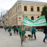 Schronisko dla Bezdomnych Zwierząt w podkieleckich Dyminach zorganizowało piknik pod hasłem "Podaj pomocną łapę" / Wojciech Habdas / Radio Kielce