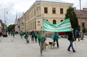 Schronisko dla Bezdomnych Zwierząt w podkieleckich Dyminach zorganizowało piknik pod hasłem "Podaj pomocną łapę" / Wojciech Habdas / Radio Kielce