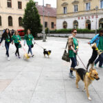 Schronisko dla Bezdomnych Zwierząt w podkieleckich Dyminach zorganizowało piknik pod hasłem "Podaj pomocną łapę" / Wojciech Habdas / Radio Kielce