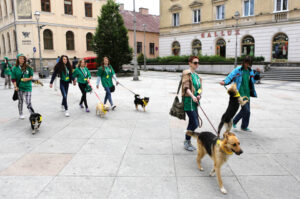 Schronisko dla Bezdomnych Zwierząt w podkieleckich Dyminach zorganizowało piknik pod hasłem "Podaj pomocną łapę" / Wojciech Habdas / Radio Kielce