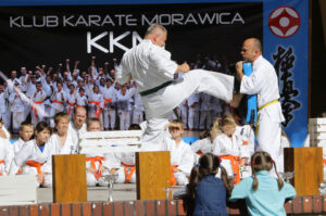 Festyn z okazji Dnia Ojca w Parku Miejskim. Prezentacja Klubu Karate Morawica / Wojciech Habdas / Radio Kielce